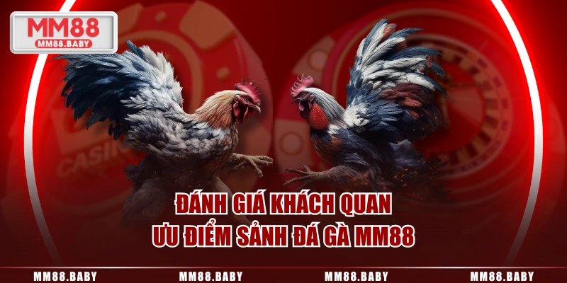 Đánh giá khách quan ưu điểm sảnh đá gà MM88