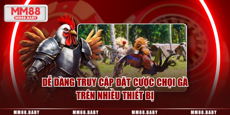 Dễ dàng truy cập đặt cược chọi gà trên nhiều thiết bị