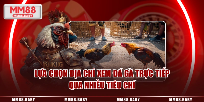 Lựa chọn địa chỉ xem đá gà trực tiếp qua nhiều tiêu chí