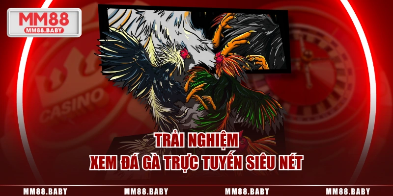 Trải nghiệm xem đá gà trực tuyến siêu nét